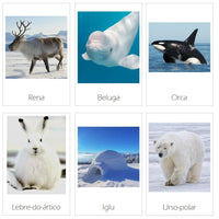Cartões Ártico - Download
