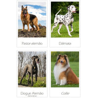 Cartões Cães - Download