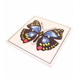 Puzzle - Borboleta