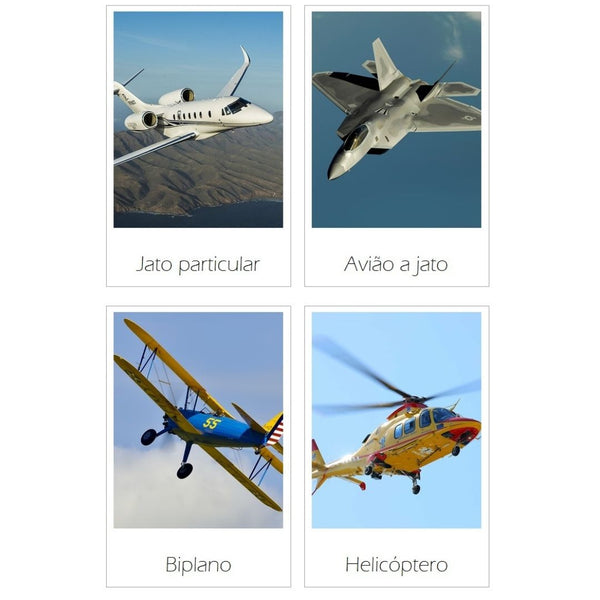 Cartões Transportes Aéreos - Download